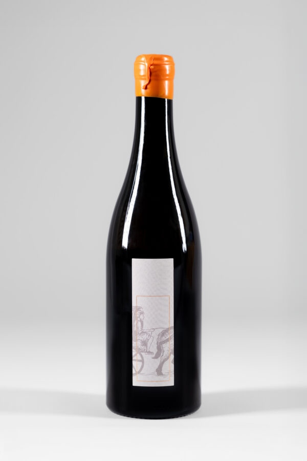 Orange Wine