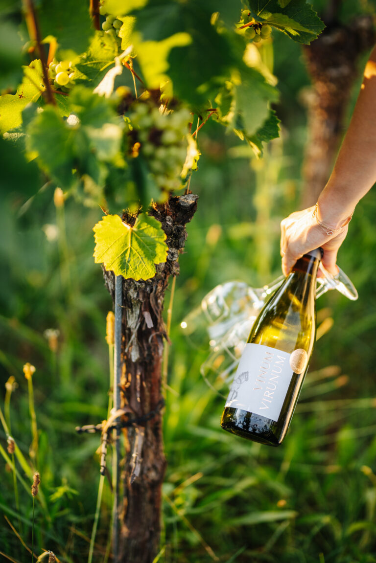 DER WEIN MIT VERKOSTUNG.
