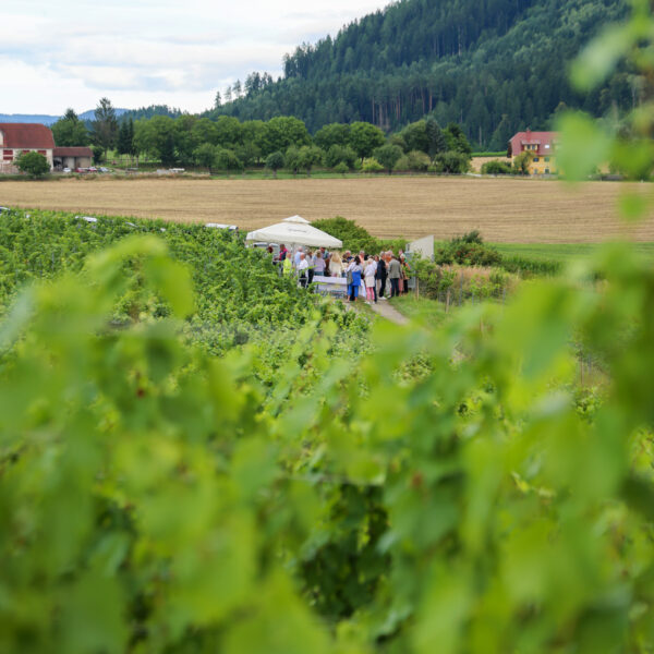 derhexenblitz_christianwinkler_fotografie2683